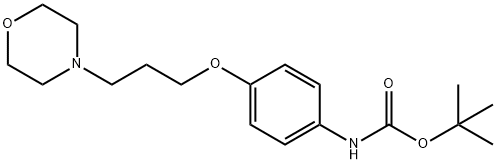 N-Boc-4-[3-(4-Morpholinyl)propoxy]aniline Struktur