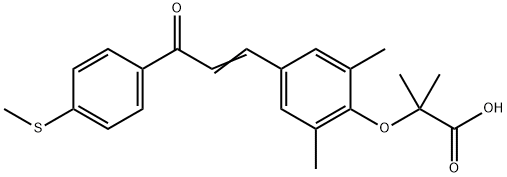 GFT505 Struktur