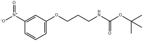 Carbamic acid, N-[3-(3-nitrophenoxy)propyl]-, 1,1-dimethylethyl ester Struktur