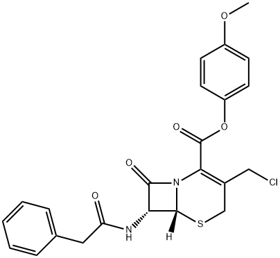 GCLE Struktur