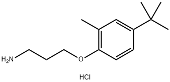 1-(3-氨基丙氧基)-4-叔丁基-2-甲基苯鹽酸鹽 結(jié)構(gòu)式