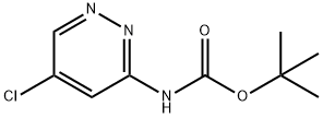 Carbamic acid, N-(5-chloro-3-pyridazinyl)-, 1,1-dimethylethyl ester Struktur