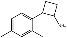 Cyclobutanamine, 2-(2,4-dimethylphenyl)- Struktur