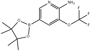 5-(4,4,5,5-tetramethyl-1,3,2-dioxaborolan-2-yl)-3-(trifluoromethoxy)pyridin-2-amine(WX192479) Struktur