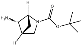 2-Azabicyclo[2.1.1]hexane-2-carboxylic acid, 5-amino-, 1,1-dimethylethyl ester, (1R,4R,5S)- Struktur