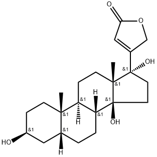 PST2286 Struktur