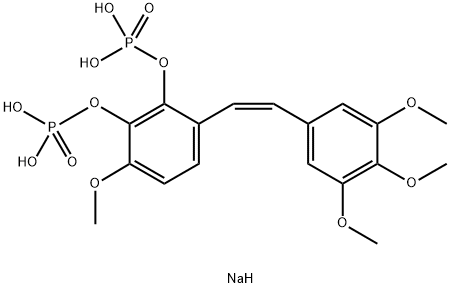 CA1P Struktur