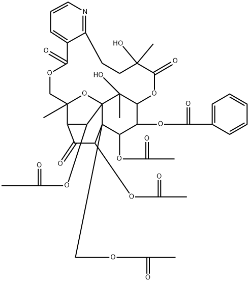 Alatamine Struktur