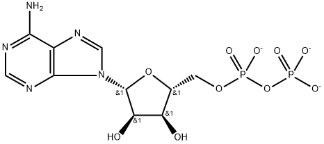 Adenosine 5'-(trihydrogen diphosphate), ion(3-) Struktur