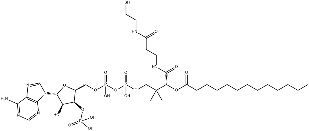 Coenzyme A, S-tridecanoate Struktur