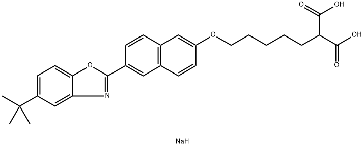 SK-216 Struktur