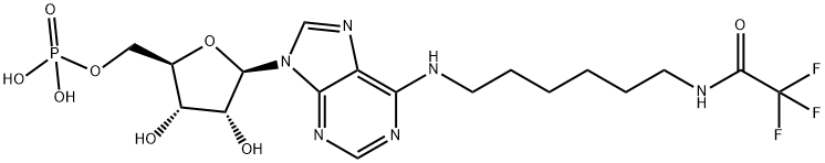 N6-(Trifluoroacetamidohexyl)adenosine 5''-Phosphate Struktur