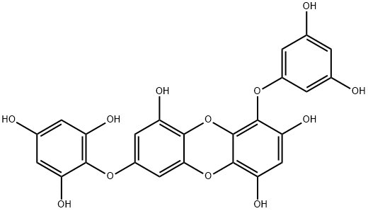 Dibenzo[b,e][1,4]dioxin-1,3,6-triol, 4-(3,5-dihydroxyphenoxy)-8-(2,4,6-trihydroxyphenoxy)- Struktur