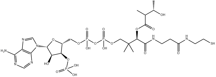 Coenzyme A, S-(3-hydroxy-2-methylbutanoate) Struktur