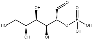 2-(Dihydrogen phosphate) D-glucose, Min. 95%|2-(Dihydrogen phosphate) D-glucose, Min. 95%
