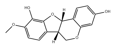 Vesticarpan Struktur