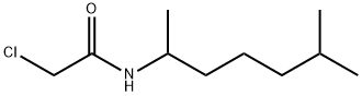 2-chloro-N-(6-methylheptan-2-yl)acetamide Struktur