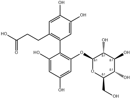  化學(xué)構(gòu)造式