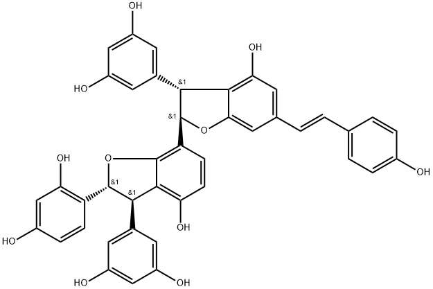 Gnetumontanin B Struktur