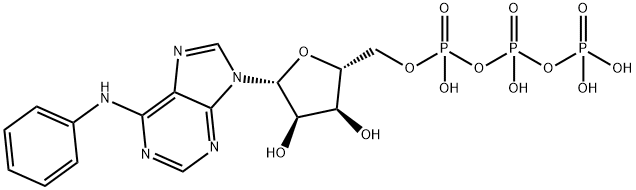 N6-Phenyl-ATP Struktur