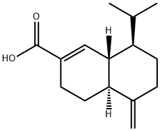  化學(xué)構(gòu)造式