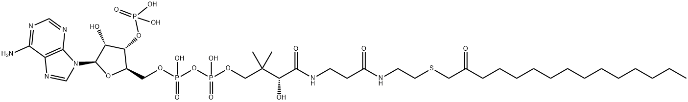 S-(2-oxopentadecyl)-coenzyme A Struktur