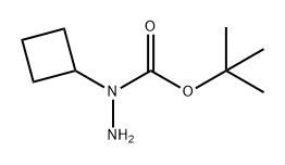 Hydrazinecarboxylic acid, 1-cyclobutyl-, 1,1-dimethylethyl ester Struktur