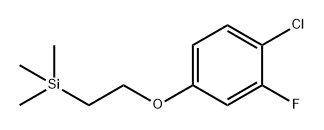 Benzene, 1-chloro-2-fluoro-4-[2-(trimethylsilyl)ethoxy]-