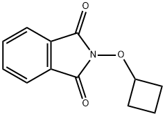 1H-Isoindole-1,3(2H)-dione, 2-(cyclobutyloxy)- Struktur