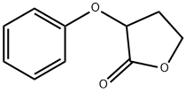 2(3H)-Furanone, dihydro-3-phenoxy-