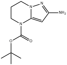 Pyrazolo[1,5-a]pyrimidine-4(5H)-carboxylic acid, 2-amino-6,7-dihydro-, 1,1-dimethylethyl ester Struktur