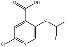 2-Chloro-5-(difluoromethoxy)isonicotinic acid Struktur