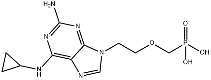 cPrPMEDAP Struktur