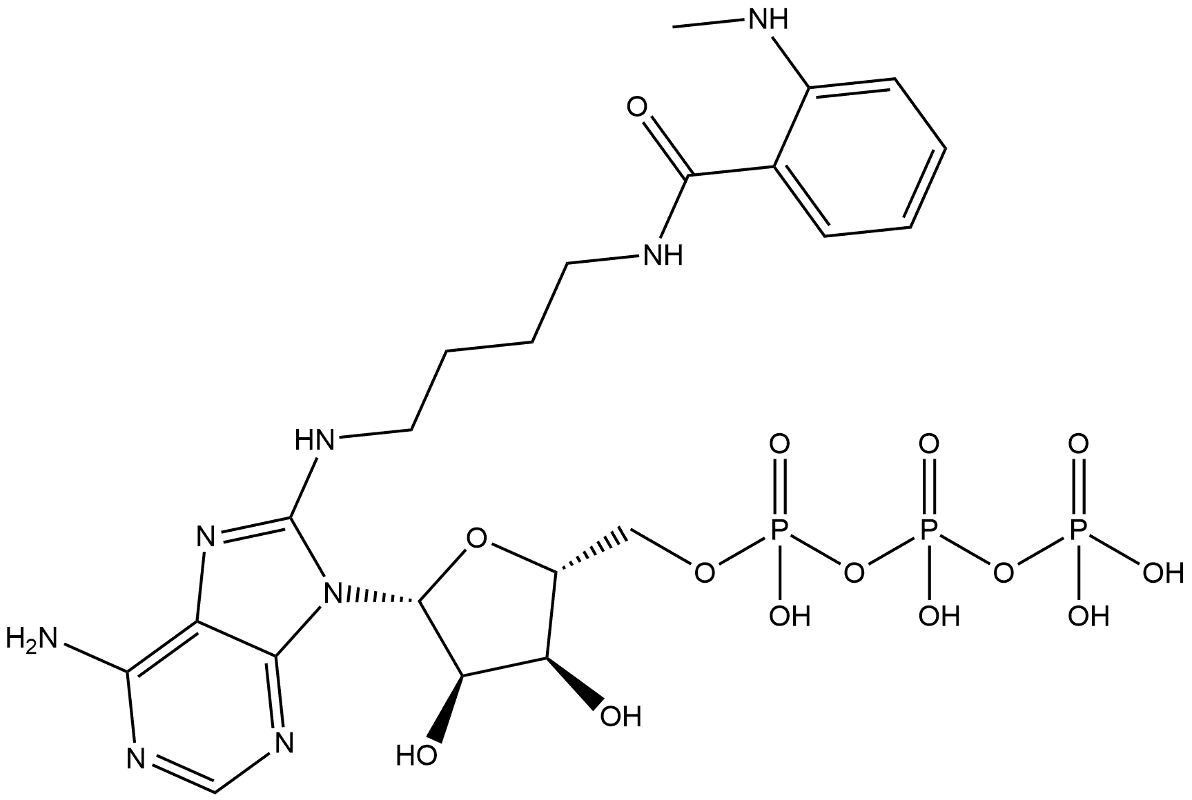 8-[(4-Amino)butyl]-amino-ATP - MANT Struktur