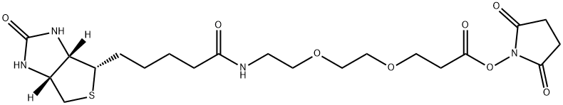 Propanoic acid, 3-[2-[2-[[5-[(3aS,4S,6aR)-hexahydro-2-oxo-1H-thieno[3,4-d]imidazol-4-yl]-1-oxopentyl]amino]ethoxy]ethoxy]-, 2,5-dioxo-1-pyrrolidinyl ester Struktur