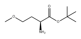 Homoserine, O-methyl-, 1,1-dimethylethyl ester Struktur