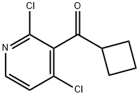 Cyclobutyl(2,4-dichloropyridin-3-yl)methanone Struktur