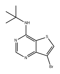 Thieno[3,2-d]pyrimidin-4-amine, 7-bromo-N-(1,1-dimethylethyl)- Struktur