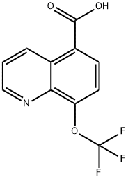 5-Quinolinecarboxylic acid, 8-(trifluoromethoxy)- Struktur