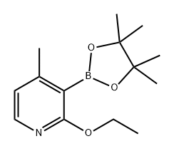 Pyridine, 2-ethoxy-4-methyl-3-(4,4,5,5-tetramethyl-1,3,2-dioxaborolan-2-yl)- Struktur