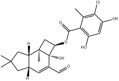 melleolide K Struktur