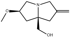 1H-Pyrrolizine-7a(5H)-methanol, tetrahydro-2-methoxy-6-methylene-, (2R,7aR)- Struktur