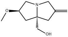 (2R,7aS)-Tetrahydro-2-methoxy-6-methylene-1H-pyrrolizine-7a(5H)-methanol Struktur