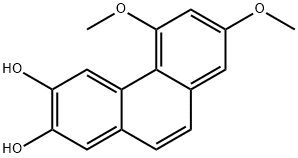  化學(xué)構(gòu)造式