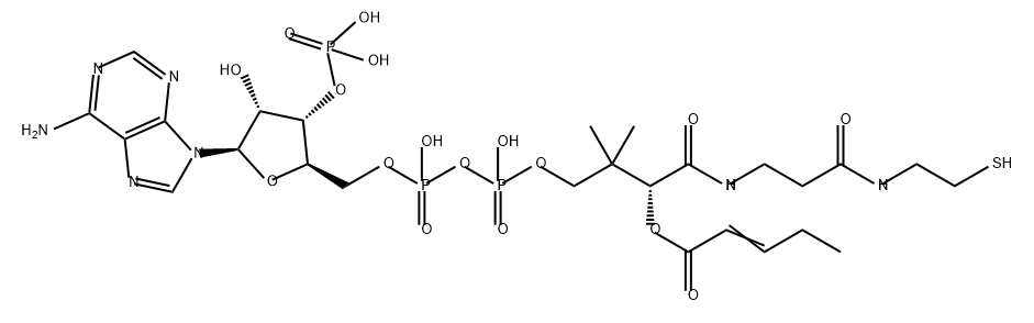 Coenzyme A, S-2-pentenoate Struktur