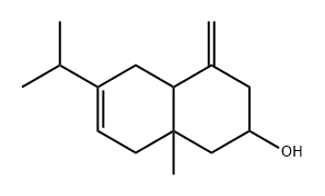  化學(xué)構(gòu)造式