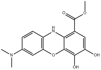 PRUNECONCENTRATE Struktur