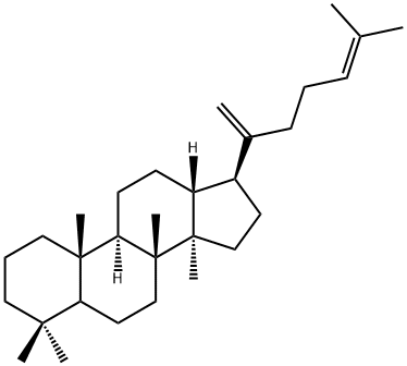 Dammara-20(21),24-diene Struktur