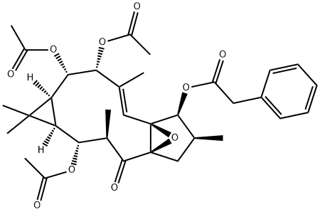  化學(xué)構(gòu)造式