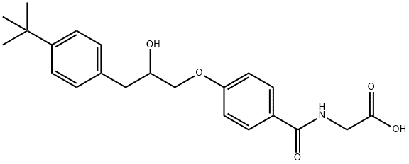 K 13-004 Struktur